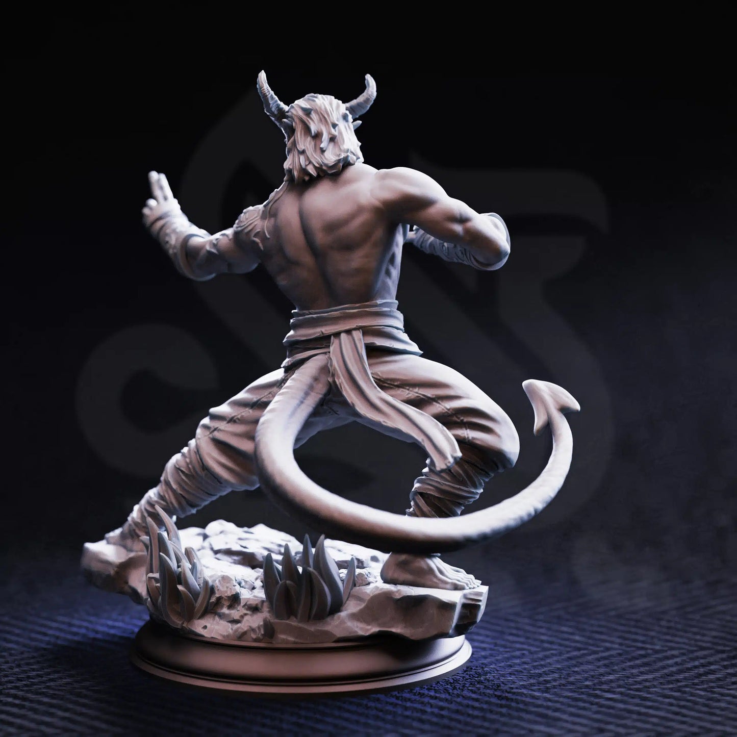 Verek “Heartless” of the Spit – Tiefling Monk