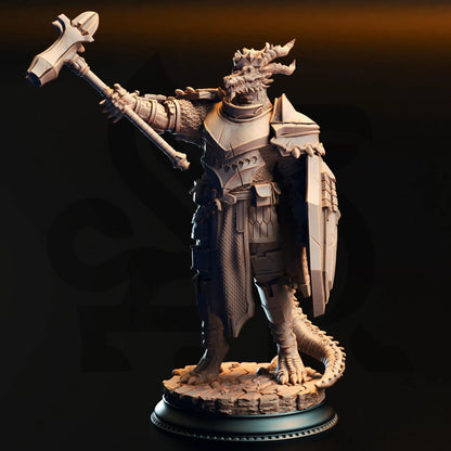 Azmordion’s Chosen – Silver Dragonborn Knights